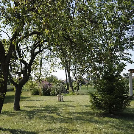 Villa Hidden Gem