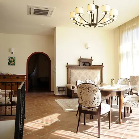 Villa Hidden Gem Pacsa
